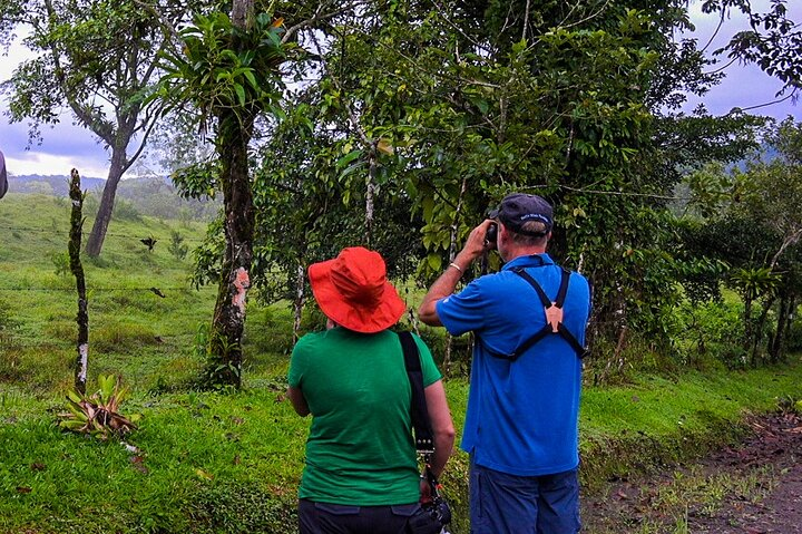 Birdwatching Walk from La Fortuna - Photo 1 of 8